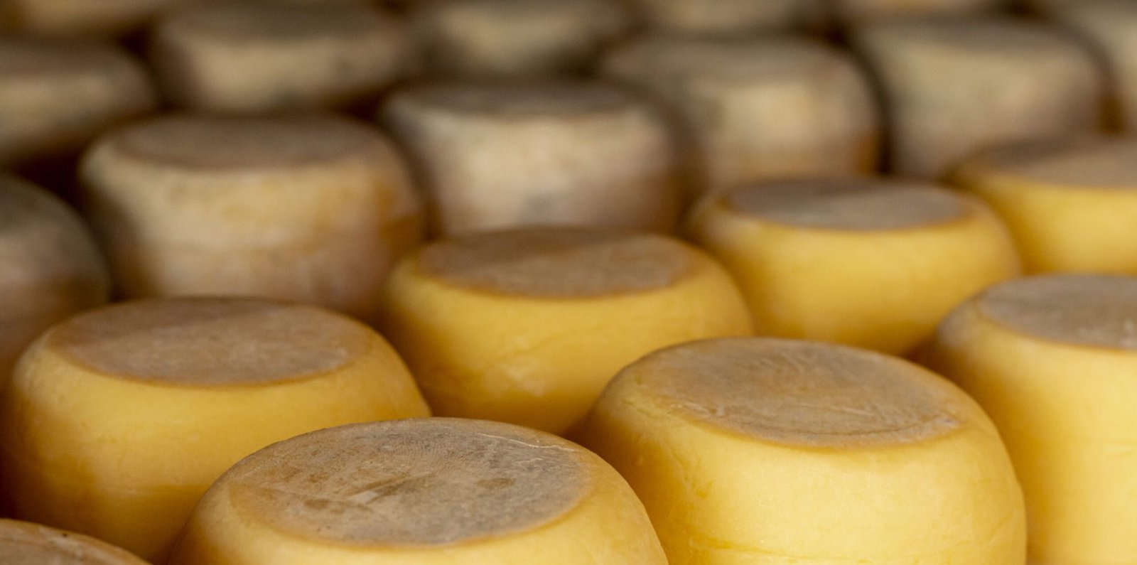 variedad de ruedas de queso rustico